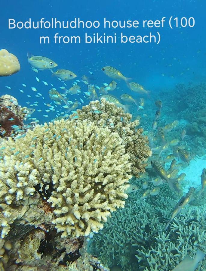 Bodufolhudhoo 冲浪休闲旅馆酒店 外观 照片
